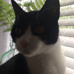 Meet your Posher, Karen